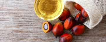 Batana olja för håret