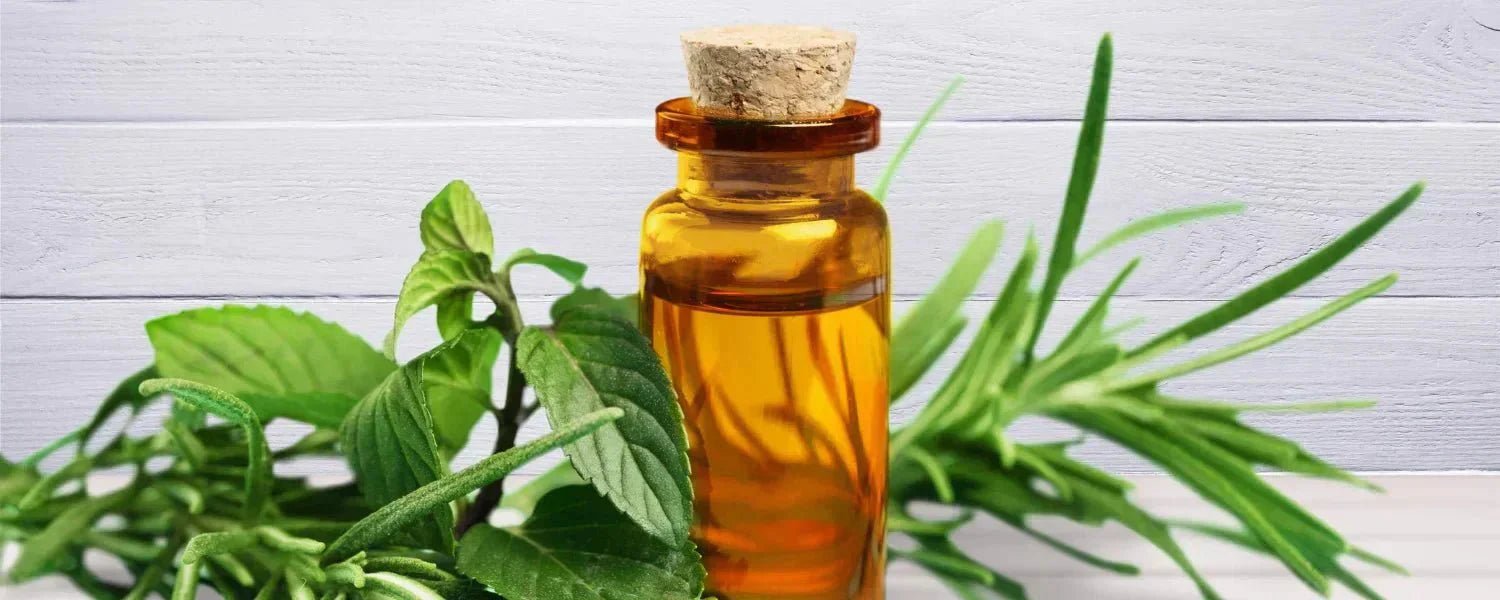 Tea tree olja för håret