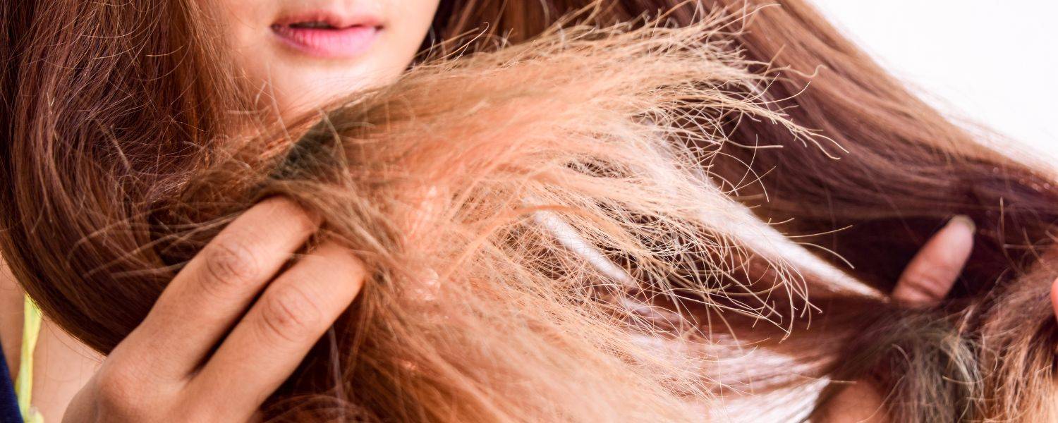 Hur man undviker torrt och frissigt hår