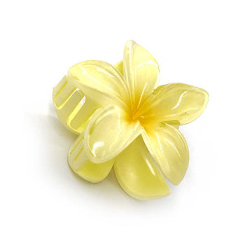 Hårklämma med blomma