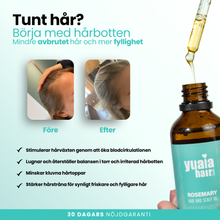 Rosmarin Hårolja