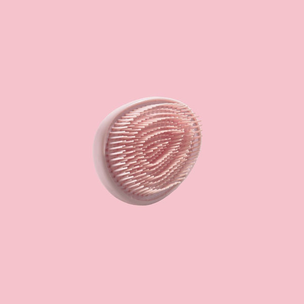 Detangle Egg Brush