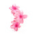 Blossom stor